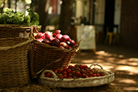 A basket filled with fresh seasonal produce.